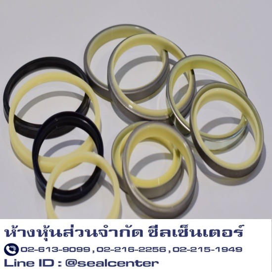 ขายเทปประคองแกน - ห้างหุ้นส่วนจำกัด ซีลเซ็นเตอร์ - Wiper Seal  DHS  SER  PDU  H-38  SFR  Hydraulic Seals  เทปประคองแกน  เทป  ซีลแกน 