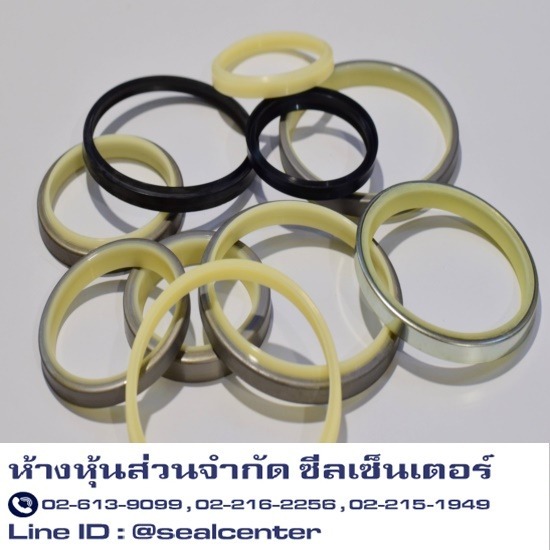 ขายเทปประคองแกน - ห้างหุ้นส่วนจำกัด ซีลเซ็นเตอร์ - Wiper Seal  DHS  SER  PDU  H-38  SFR  Hydraulic Seals  เทปประคองแกน  เทป  ซีลแกน 